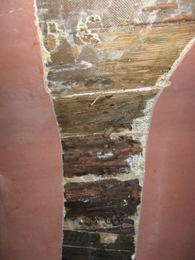 Probestreifen des entfernten Laminats