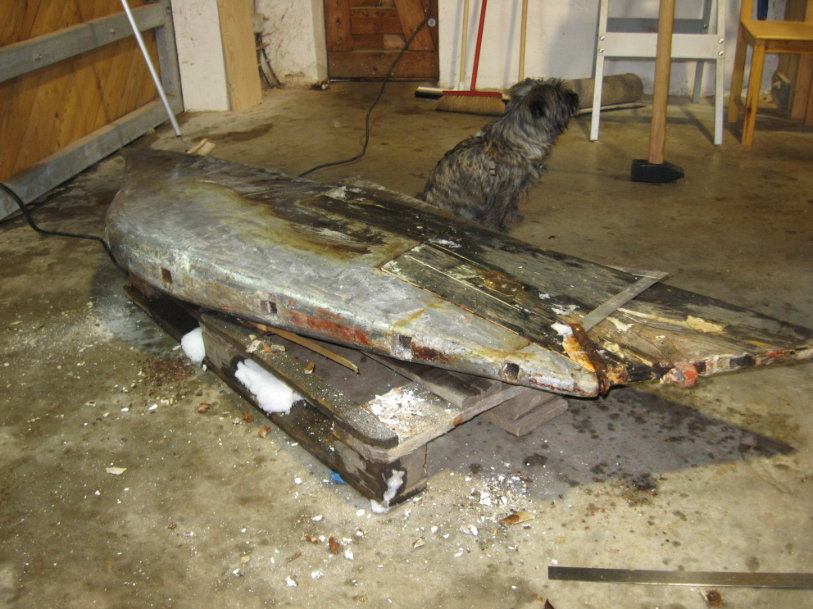 Bleiballast mit Totholz (nicht nur der zufällig anwesende Hund wandte sich angewidert ab und schüttelte den Kopf).